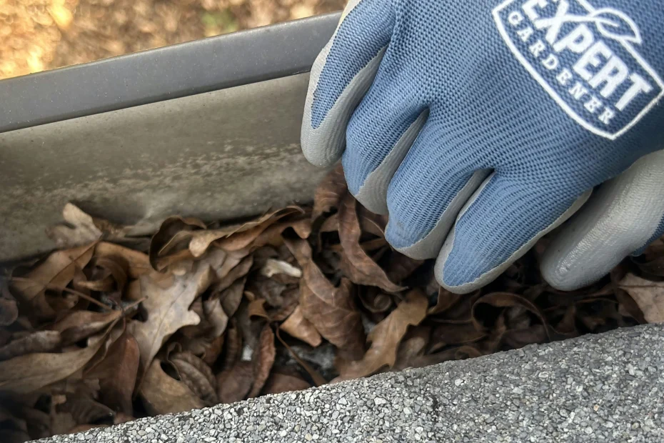 Gutter Cleaning Cape Coral FL