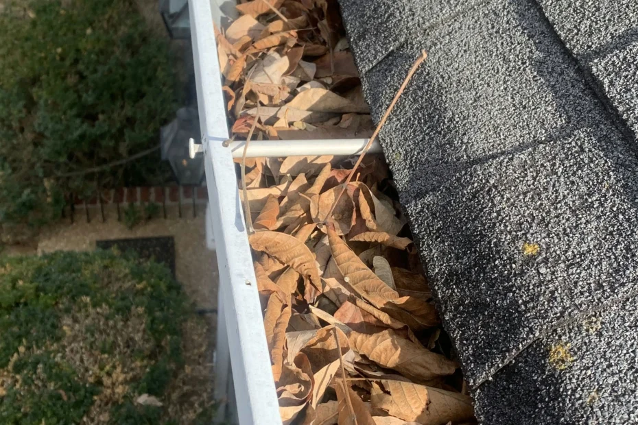 Gutter Cleaning Cape Coral FL