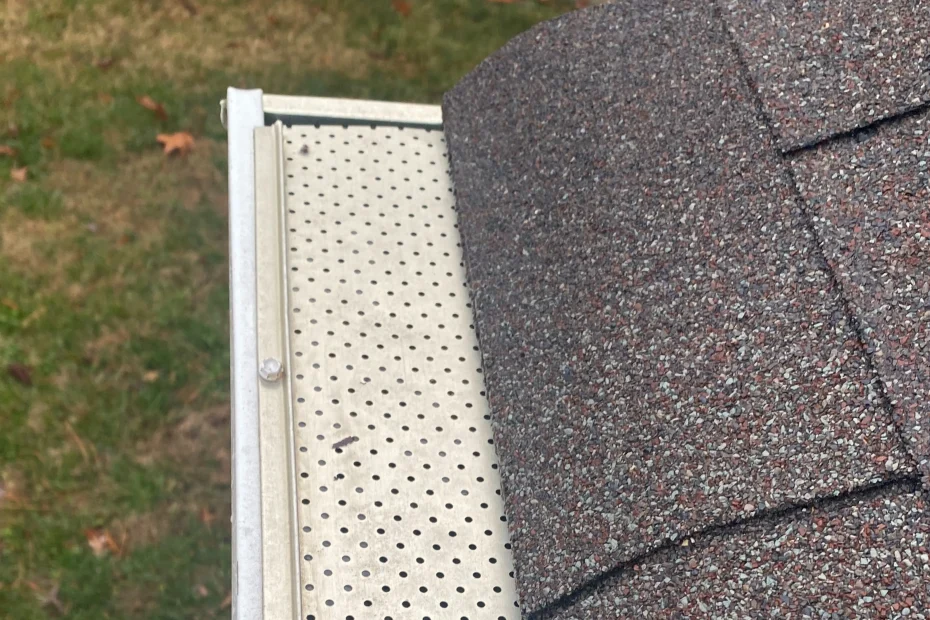 Gutter Cleaning Cape Coral FL