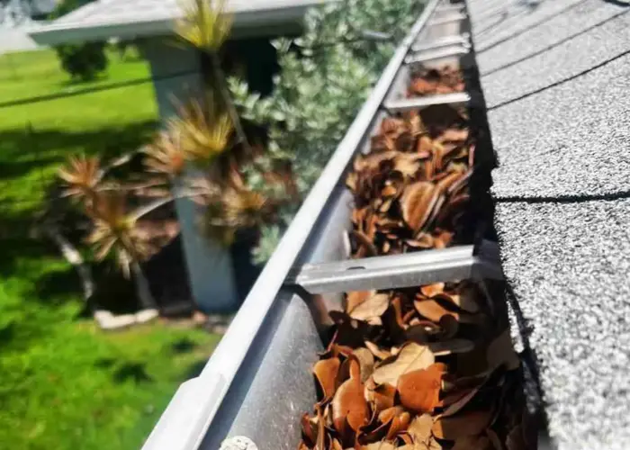 Gutter Cleaning Cape Coral FL home page